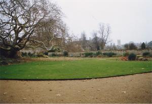 The chosen site in the Peacock Garden, Christ Church, before installation of the 20th century dial